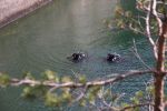 20120420_FW_Erlaufklause_Daurer_IMG_3506