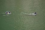 20120420_FW_Erlaufklause_Daurer_IMG_3588