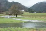 FFTürnitz_Falkensteiner_0008