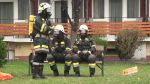 Kozmich_M_0934