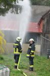 Kozmich_M_0920
