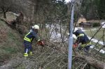 Kozmich_M_3776