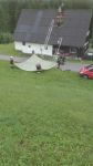 IMG-20170806-WA0009