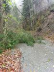 Hohenberg_IMG-20171029-WA0020