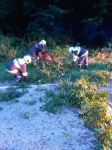 IMG-20210801-WA0008