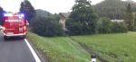 20240728_stag_006