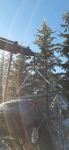 20241207_stag005