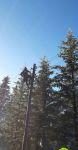 20241207_stag006