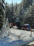 20241207_stag008
