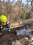 06_SD_Waldbrand-Schwarzau_20250310