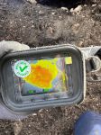 09_SD_Waldbrand-Schwarzau_20250310