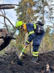 12_SD_Waldbrand-Schwarzau_20250310