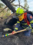 14_SD_Waldbrand-Schwarzau_20250310