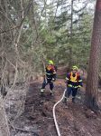 16_SD_Waldbrand-Schwarzau_20250310