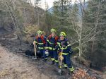17_SD_Waldbrand-Schwarzau_20250310