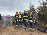 18_SD_Waldbrand-Schwarzau_20250310