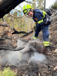 05_SD_Waldbrand-Schwarzau_20250310
