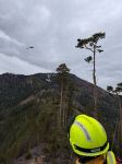 08_SD_Waldbrand-Schwarzau_20250310