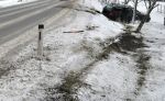 M_Kozmich_0237